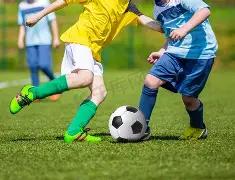 巅峰对决,澳超第,惠灵顿凤凰,巅峰国际官网,巅峰国际品牌,巅峰国际精彩,巅峰国际