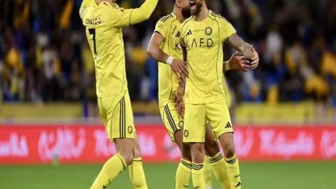 大乐透期号专家质合分析推荐：前区十码NBA国王对黄蜂